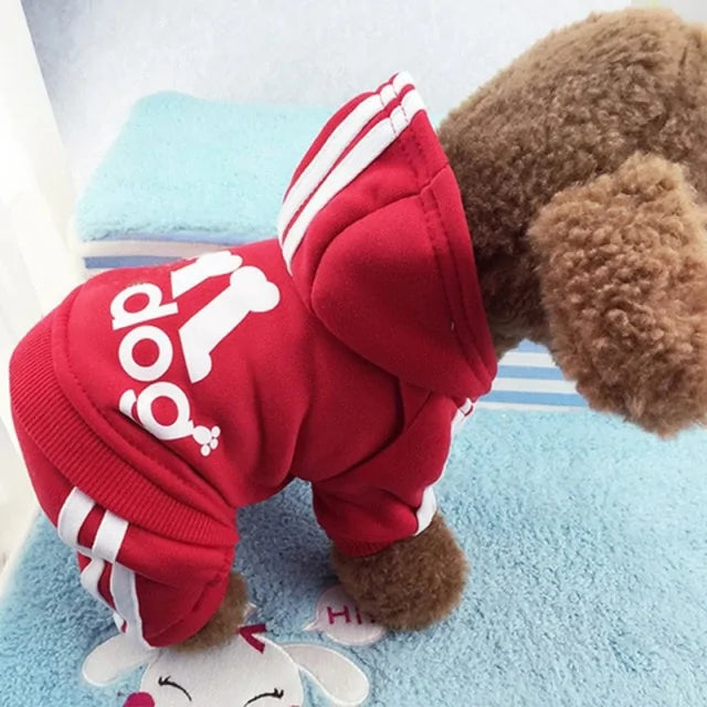 Dog Tracksuit