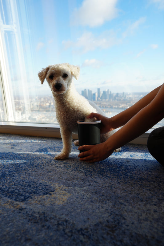 Automatic Paw Cleaner