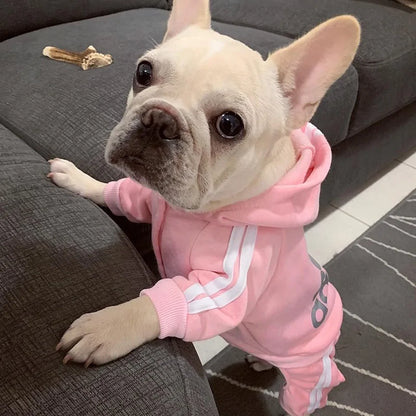 Dog Tracksuit