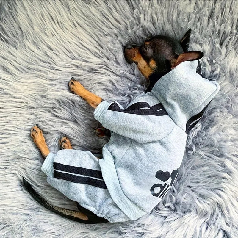 Dog Tracksuit