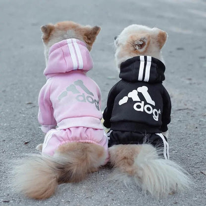 Dog Tracksuit