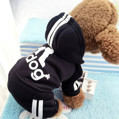 Dog Tracksuit